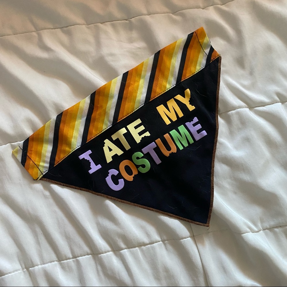 Pet Halloween Bandana